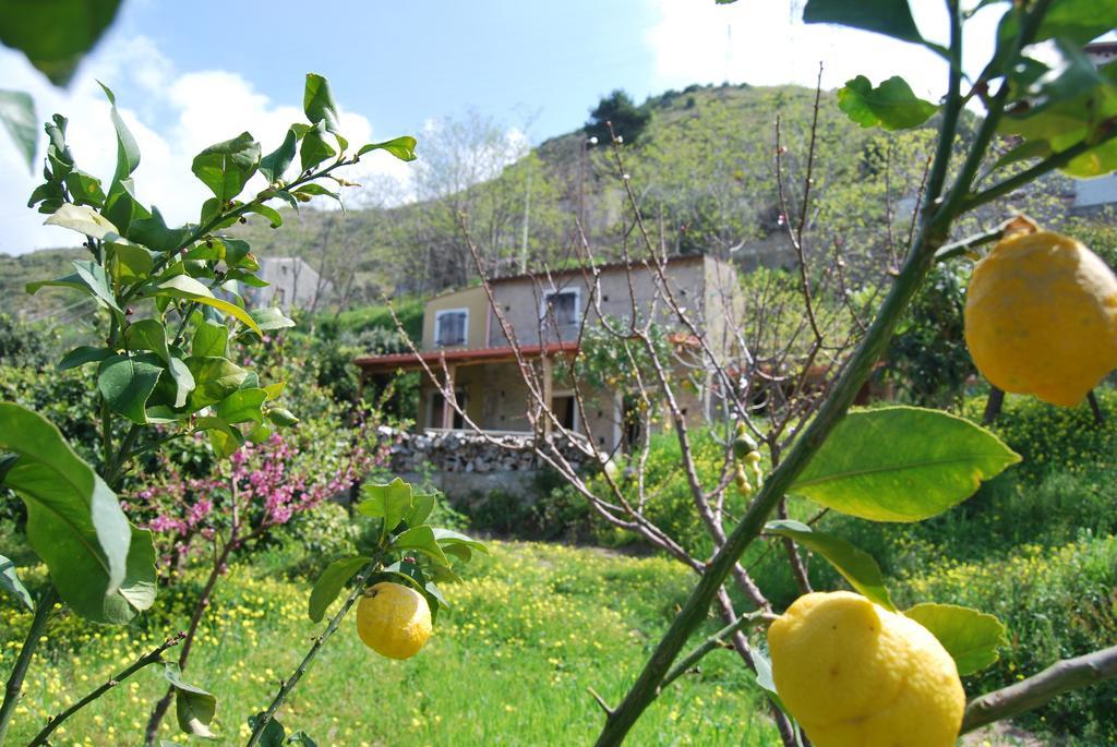 Al Melograno B&B Belmonte Calabro Phòng bức ảnh