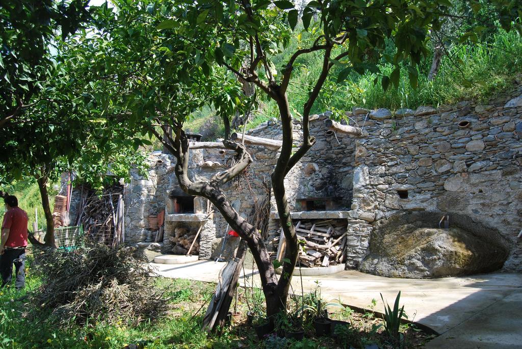 Al Melograno B&B Belmonte Calabro Phòng bức ảnh