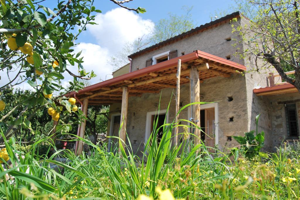 Al Melograno B&B Belmonte Calabro Ngoại thất bức ảnh