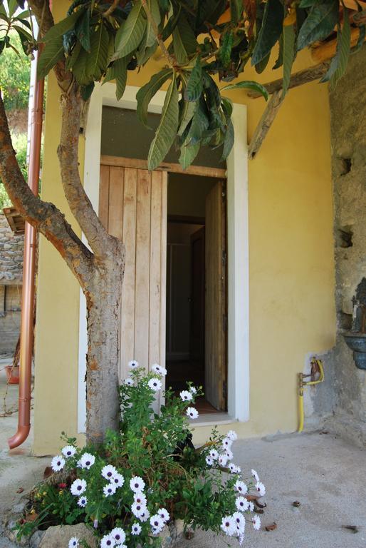 Al Melograno B&B Belmonte Calabro Ngoại thất bức ảnh